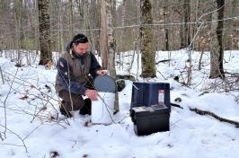 研究er David Moore collecting sap from beech trees in a forested area. 雪覆盖着大地. David crouches next to a bucket.